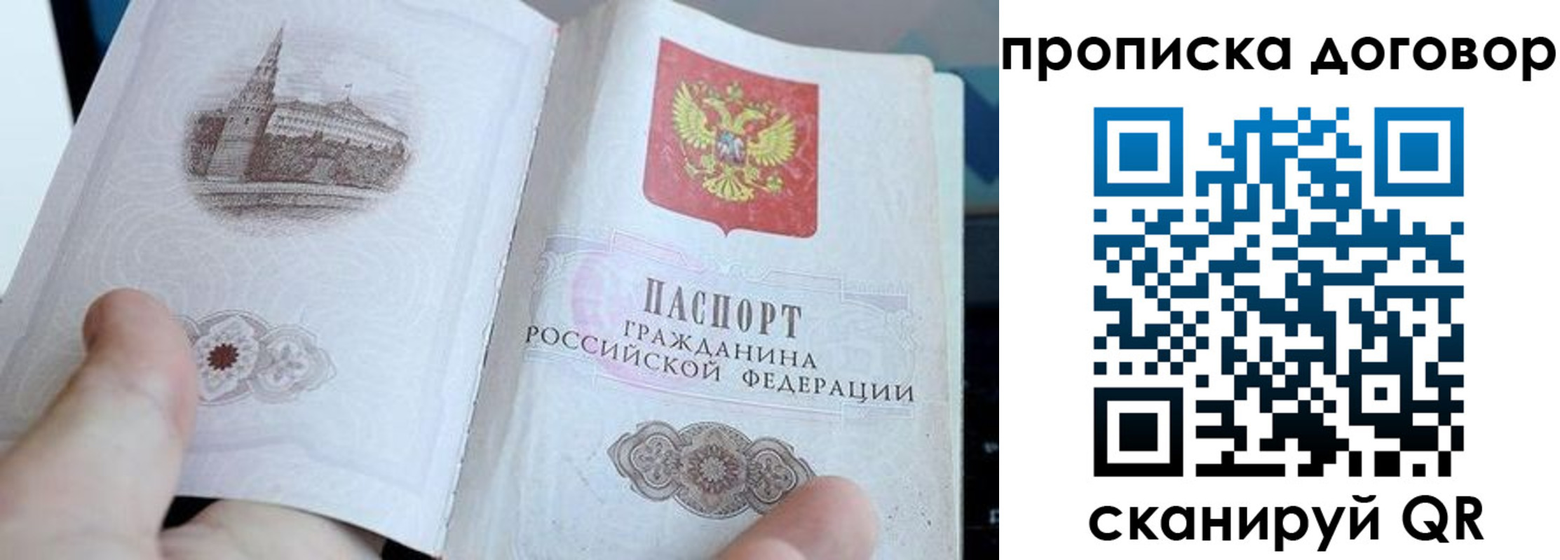 прописка законно в Выборге